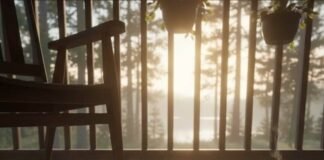 10 Underrated Thrillers That Deserve Your Attention POV: VHS guts on a porch at golden hour.